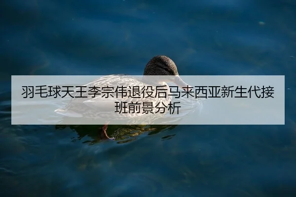 羽毛球天王李宗伟退役后马来西亚新生代接班前景分析