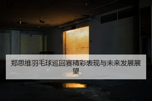 郑思维羽毛球巡回赛精彩表现与未来发展展望