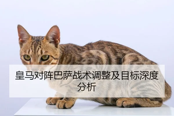 皇马对阵巴萨战术调整及目标深度分析